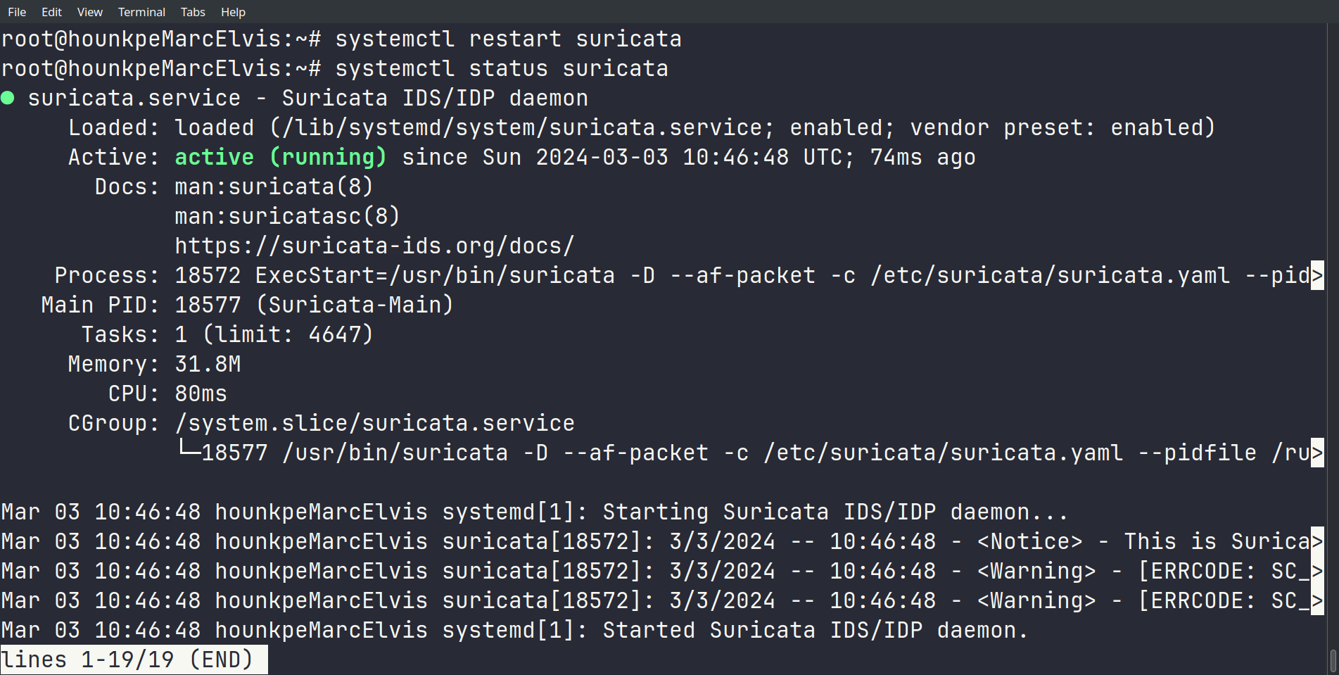 setting-up-elk-illustration-